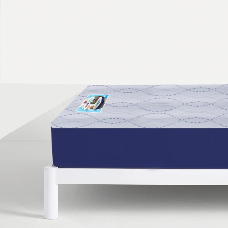Five Star Foam Max