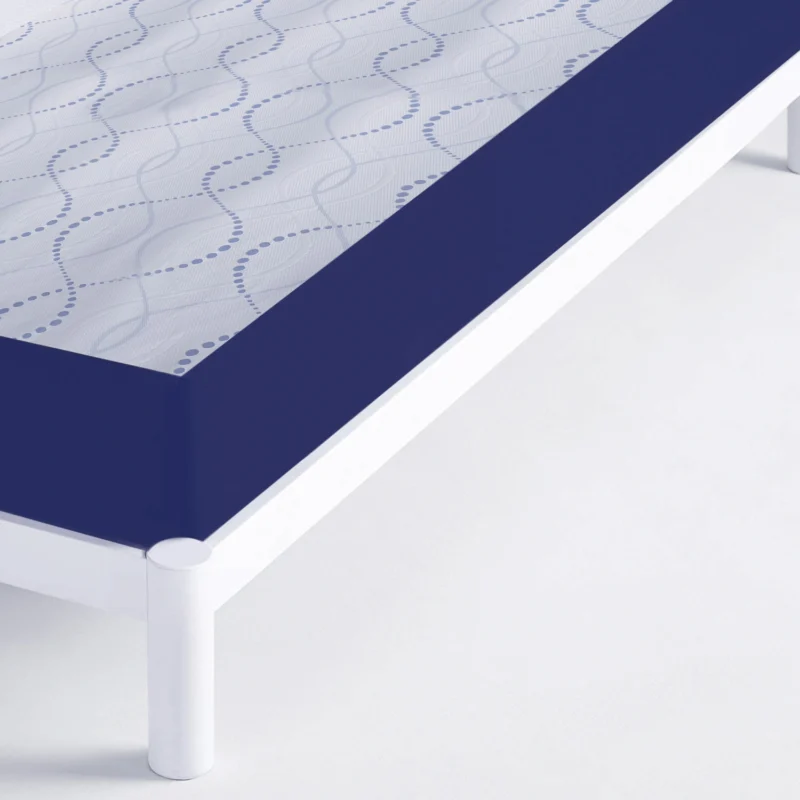 Five Star Foam Max