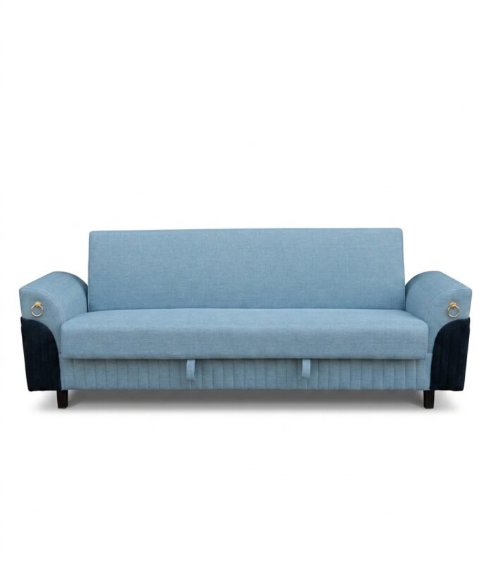 Indus Sofa Cum Bed